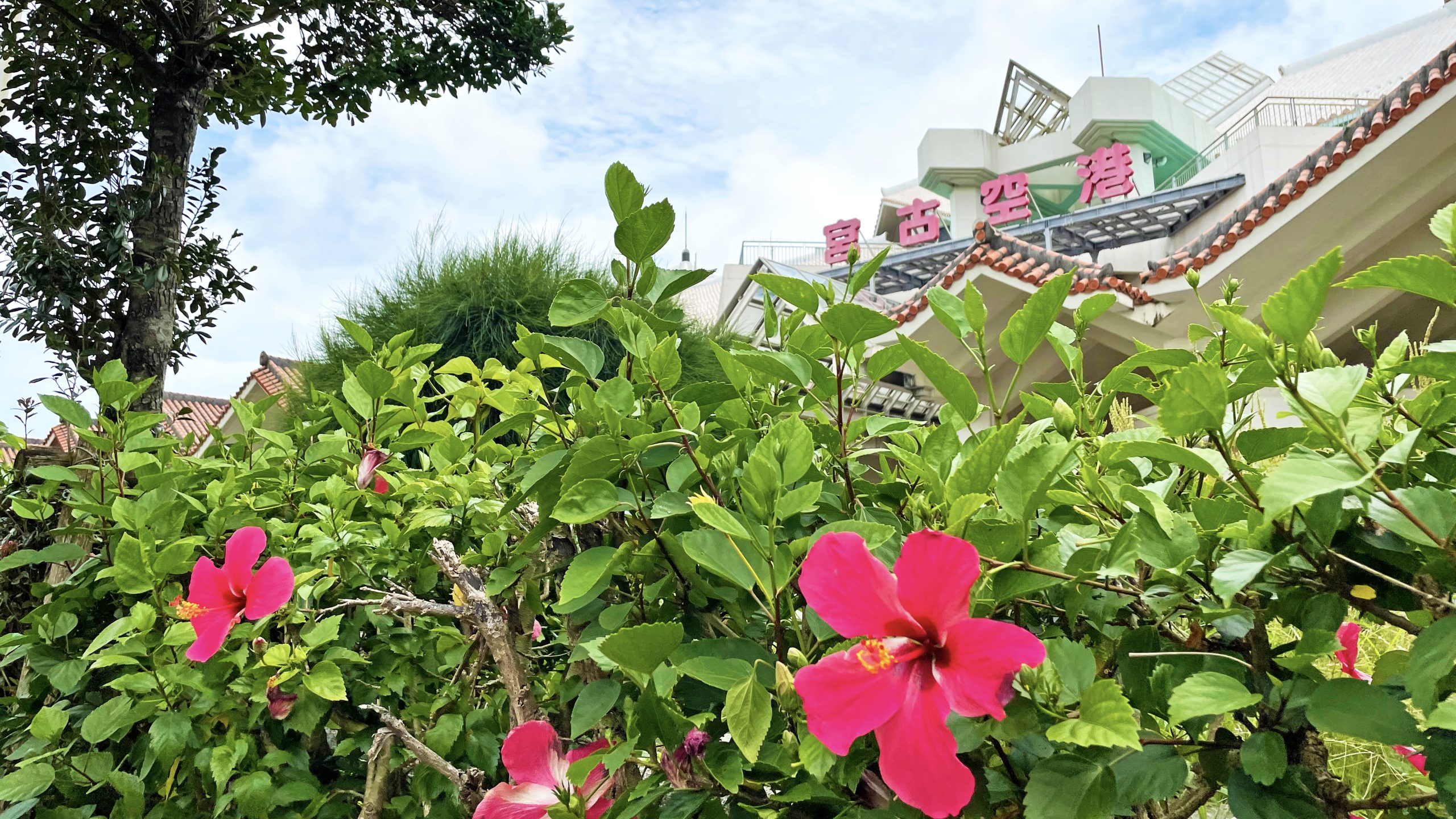 宮古島空港の写真